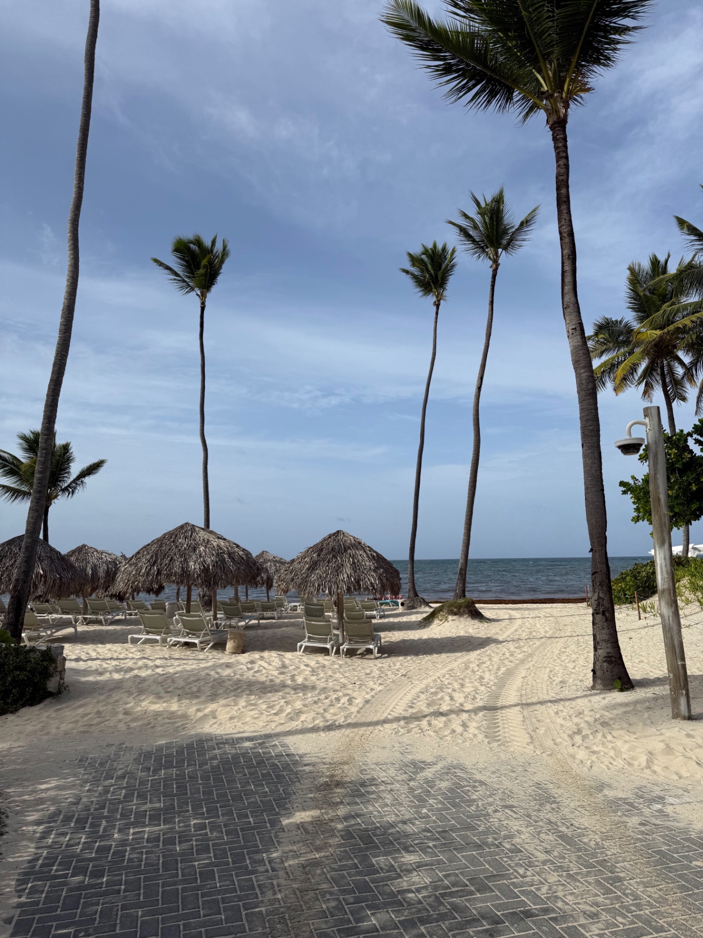 Tall palm trees and thatched palapas over white sand at Iberostar Bávaro beach