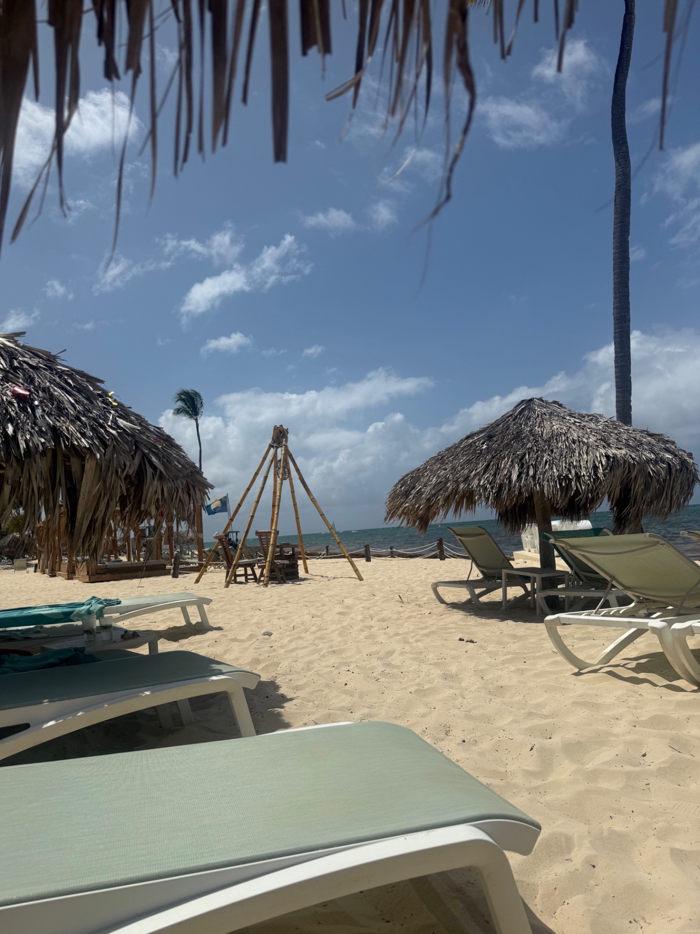 Beach loungers and palapas on white sand with palm trees